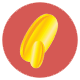 Capsule (Softgel) Manufacturing