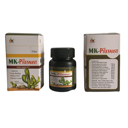 MK-PILESNAST