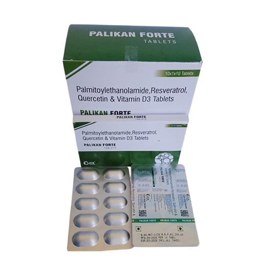 PALIKAN FORTE