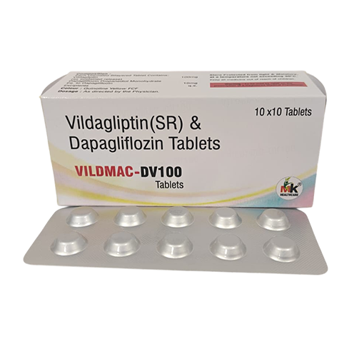 VILDMAC-DV100