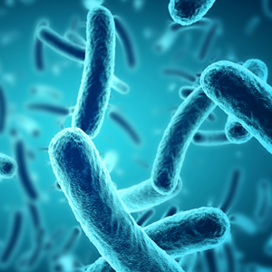 Antibiotics