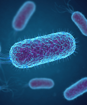 Anti-biotics (Tablet)