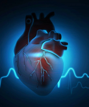 Cardio-diabetic/Neuro (Tablet)