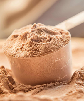 Protein Powder