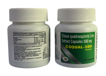 CSQUAL-500