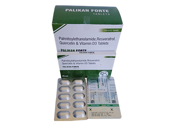 PALIKAN FORTE