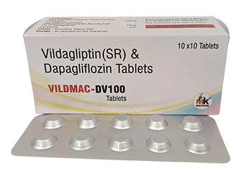 VILDMAC-DV100