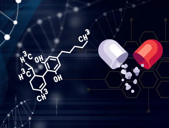 Understanding APIs in the Pharmaceutical Industry?